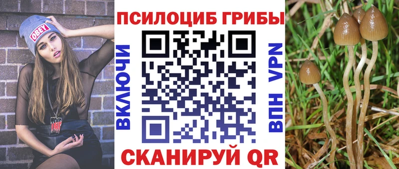 Псилоцибиновые грибы Cubensis  Ярцево 